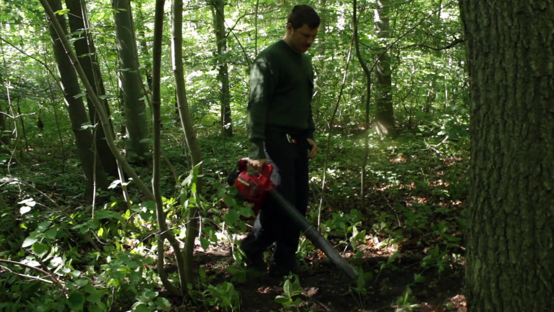 002_wald